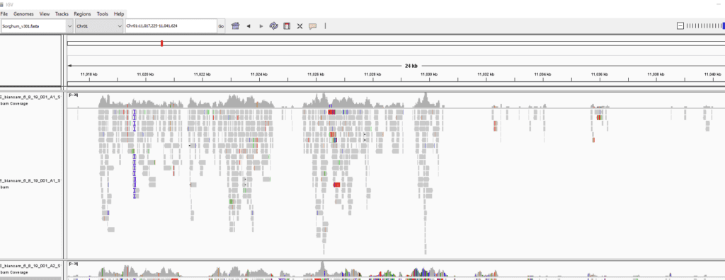 DNA and genetic data analysis