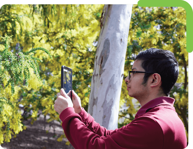 A man using a tablet to capture data in the field for ecological and biodiversity research with the KDSmart Android application