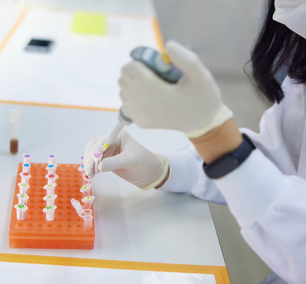 A scientist using a pipette to prepare samples for genetic identification and purity testing and DNA analysis