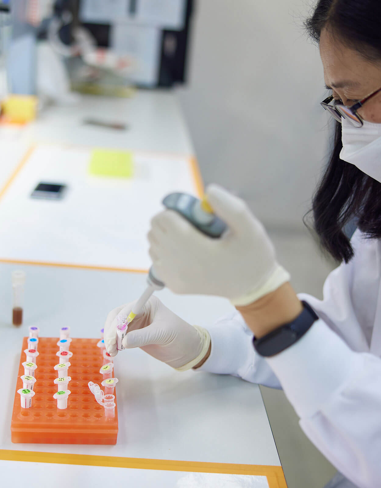 A scientist using a pipette to prepare samples for genetic identification and purity testing and DNA analysis