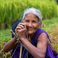 Smiling woman sitting in a farm