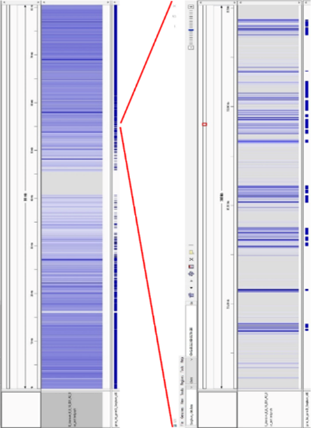 An image showing DArTreseq services targeting genes and avoiding repetitive sequencing