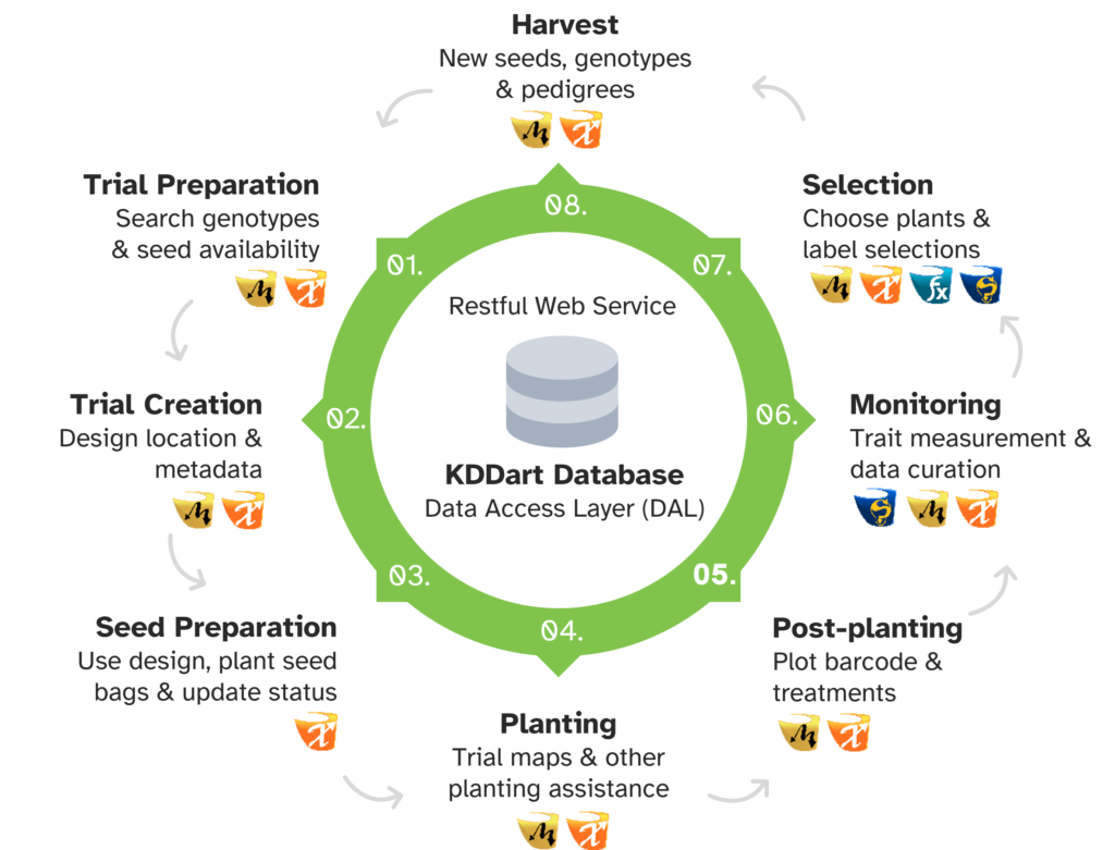 Diagram showing the 8 steps of breeding programs and how KDDart software applications assist in each step